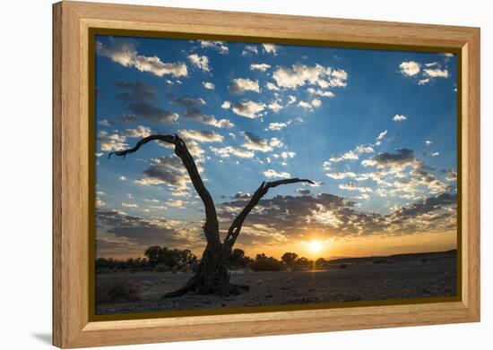 Sunrise Landscape in Sossusvlei, Namibia, July 2014-Wim van den Heever-Framed Premier Image Canvas