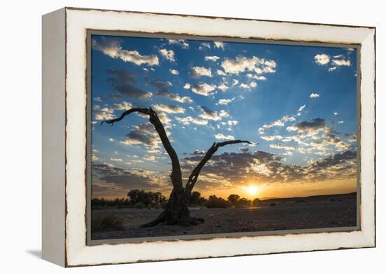 Sunrise Landscape in Sossusvlei, Namibia, July 2014-Wim van den Heever-Framed Premier Image Canvas