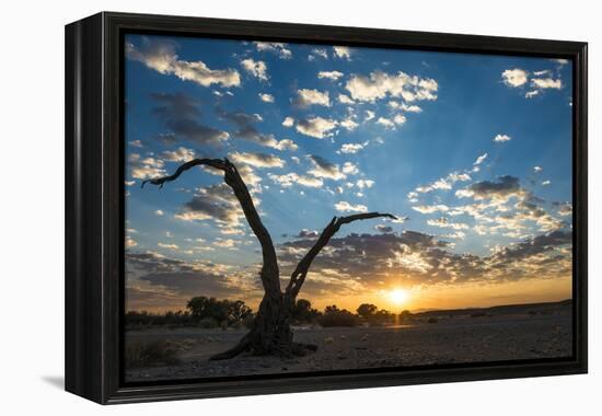 Sunrise Landscape in Sossusvlei, Namibia, July 2014-Wim van den Heever-Framed Premier Image Canvas