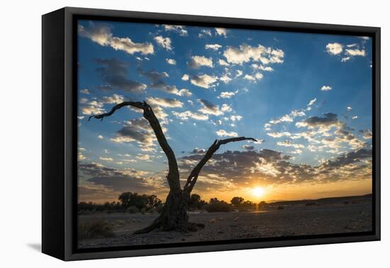 Sunrise Landscape in Sossusvlei, Namibia, July 2014-Wim van den Heever-Framed Premier Image Canvas