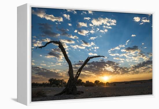 Sunrise Landscape in Sossusvlei, Namibia, July 2014-Wim van den Heever-Framed Premier Image Canvas