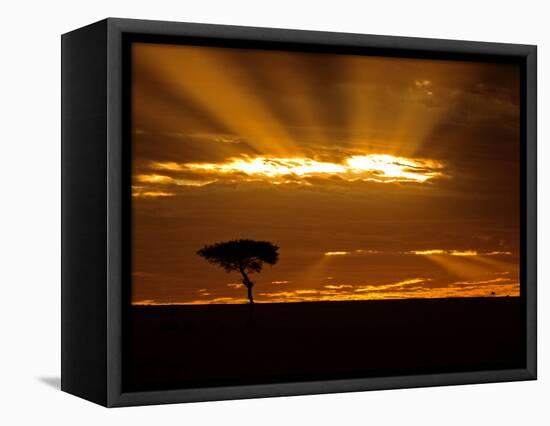 Sunrise, Maasai Mara, Kenya-Joe Restuccia III-Framed Premier Image Canvas