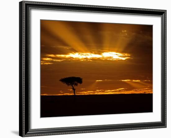 Sunrise, Maasai Mara, Kenya-Joe Restuccia III-Framed Photographic Print