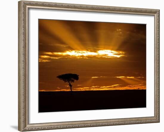 Sunrise, Maasai Mara, Kenya-Joe Restuccia III-Framed Photographic Print