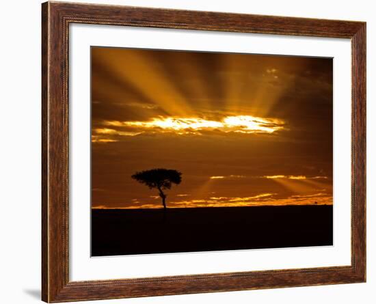 Sunrise, Maasai Mara, Kenya-Joe Restuccia III-Framed Photographic Print