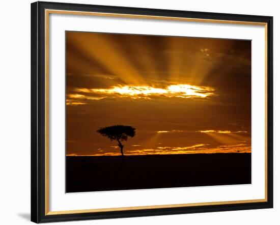 Sunrise, Maasai Mara, Kenya-Joe Restuccia III-Framed Photographic Print