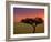 Sunrise, Maasai Mara, Kenya-Joe Restuccia III-Framed Photographic Print