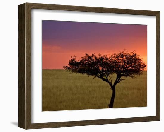 Sunrise, Maasai Mara, Kenya-Joe Restuccia III-Framed Photographic Print