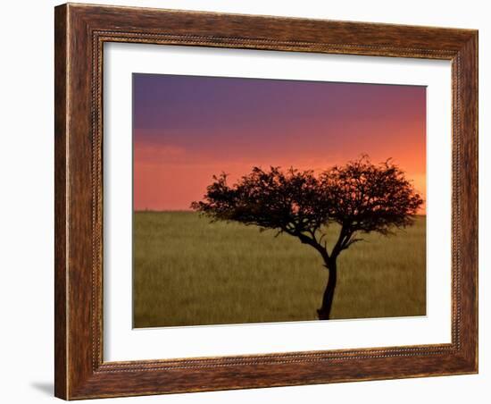 Sunrise, Maasai Mara, Kenya-Joe Restuccia III-Framed Photographic Print