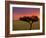 Sunrise, Maasai Mara, Kenya-Joe Restuccia III-Framed Photographic Print