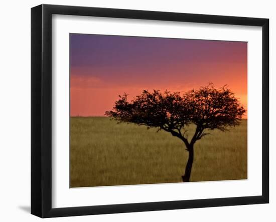 Sunrise, Maasai Mara, Kenya-Joe Restuccia III-Framed Photographic Print