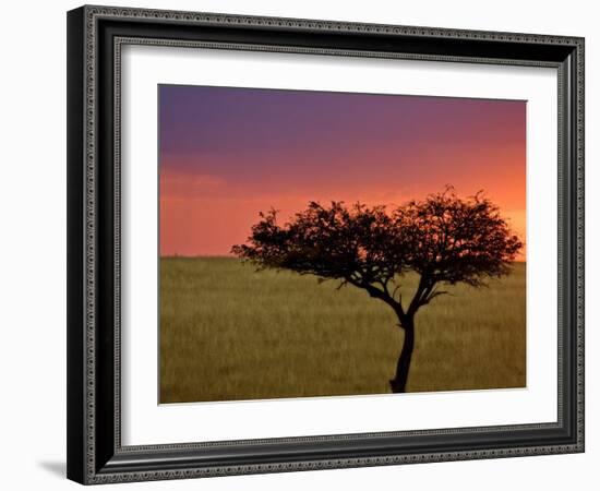 Sunrise, Maasai Mara, Kenya-Joe Restuccia III-Framed Photographic Print