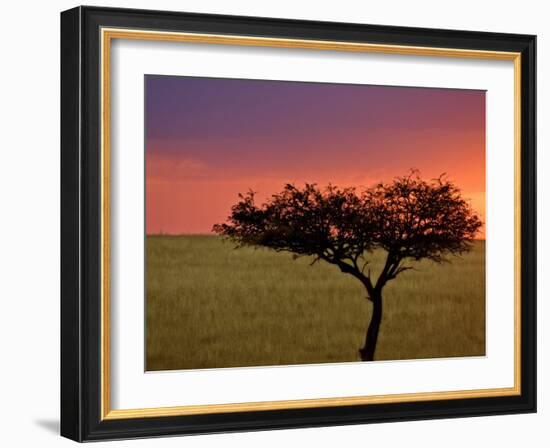 Sunrise, Maasai Mara, Kenya-Joe Restuccia III-Framed Photographic Print