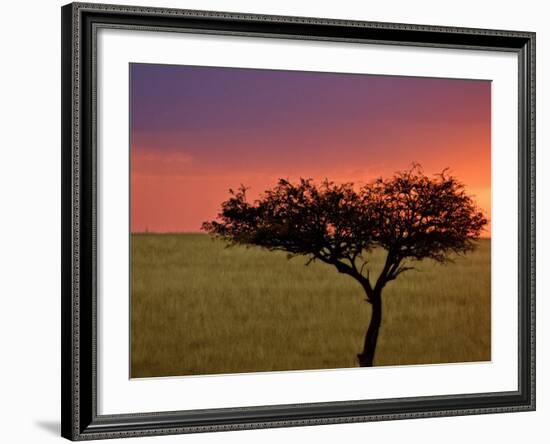 Sunrise, Maasai Mara, Kenya-Joe Restuccia III-Framed Photographic Print