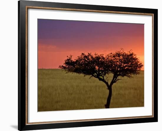Sunrise, Maasai Mara, Kenya-Joe Restuccia III-Framed Photographic Print