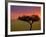 Sunrise, Maasai Mara, Kenya-Joe Restuccia III-Framed Photographic Print