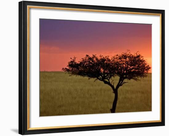 Sunrise, Maasai Mara, Kenya-Joe Restuccia III-Framed Photographic Print