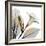 Sunrise Mandelilla-Albert Koetsier-Framed Photographic Print