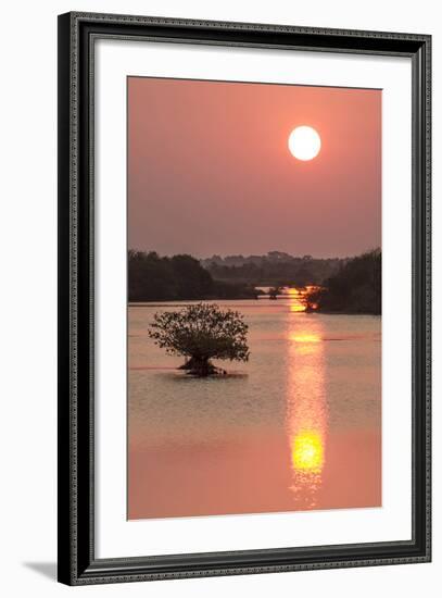 Sunrise, Mangroves and Water, Merritt Island Nwr, Florida-Rob Sheppard-Framed Photographic Print