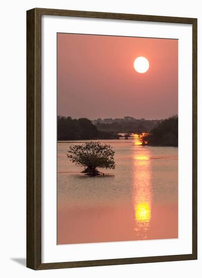 Sunrise, Mangroves and Water, Merritt Island Nwr, Florida-Rob Sheppard-Framed Photographic Print