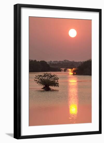 Sunrise, Mangroves and Water, Merritt Island Nwr, Florida-Rob Sheppard-Framed Photographic Print