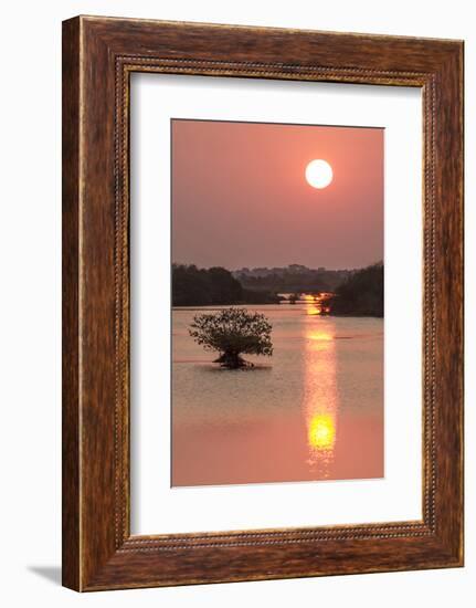 Sunrise, Mangroves and Water, Merritt Island Nwr, Florida-Rob Sheppard-Framed Photographic Print