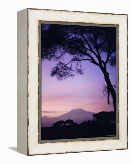 Sunrise, Mount Kilimanjaro, Amboseli National Park, Kenya, East Africa, Africa-David Poole-Framed Premier Image Canvas