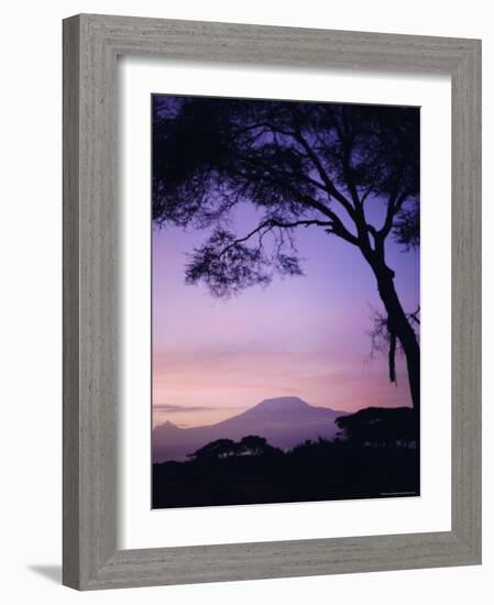 Sunrise, Mount Kilimanjaro, Amboseli National Park, Kenya, East Africa, Africa-David Poole-Framed Photographic Print