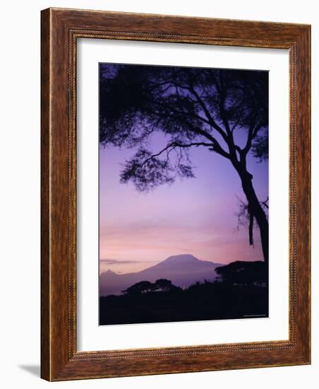 Sunrise, Mount Kilimanjaro, Amboseli National Park, Kenya, East Africa, Africa-David Poole-Framed Photographic Print