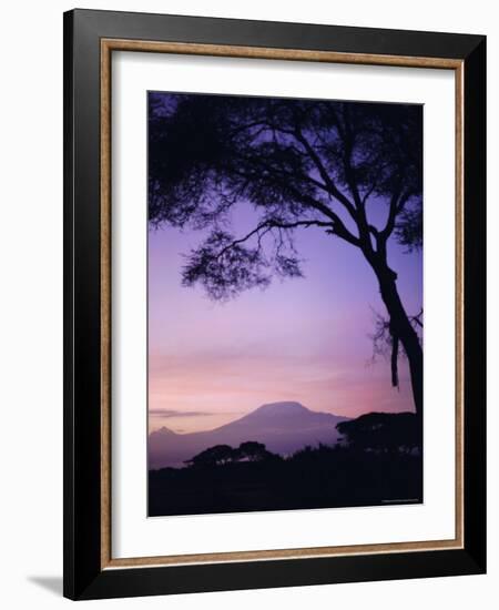 Sunrise, Mount Kilimanjaro, Amboseli National Park, Kenya, East Africa, Africa-David Poole-Framed Photographic Print