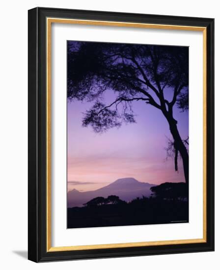 Sunrise, Mount Kilimanjaro, Amboseli National Park, Kenya, East Africa, Africa-David Poole-Framed Photographic Print