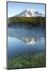 Sunrise, Mount Rainier, Reflection Lake, Mount Rainier NP, Washington-Michel Hersen-Mounted Photographic Print