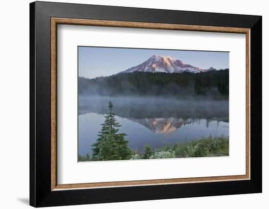 Sunrise, Mount Rainier, Reflection Lake, Mount Rainier NP, Washington-Michel Hersen-Framed Photographic Print