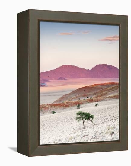 Sunrise, Namibia, Africa-Nadia Isakova-Framed Premier Image Canvas