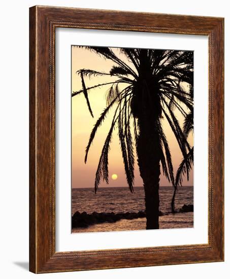 Sunrise Near Sidi Slim, Island of Jerba, Tunisia, North Africa, Africa-Hans Peter Merten-Framed Photographic Print