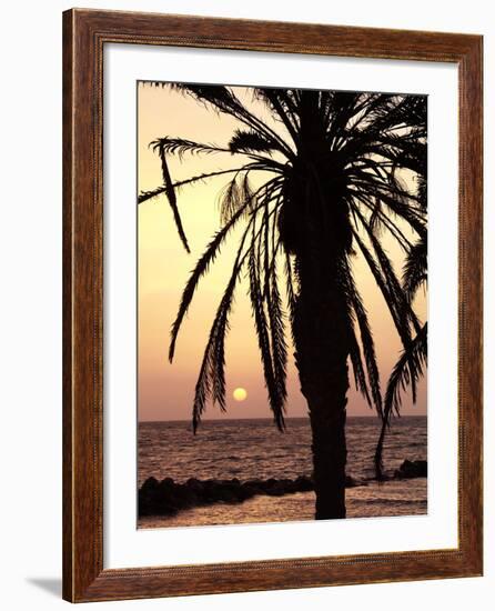 Sunrise Near Sidi Slim, Island of Jerba, Tunisia, North Africa, Africa-Hans Peter Merten-Framed Photographic Print