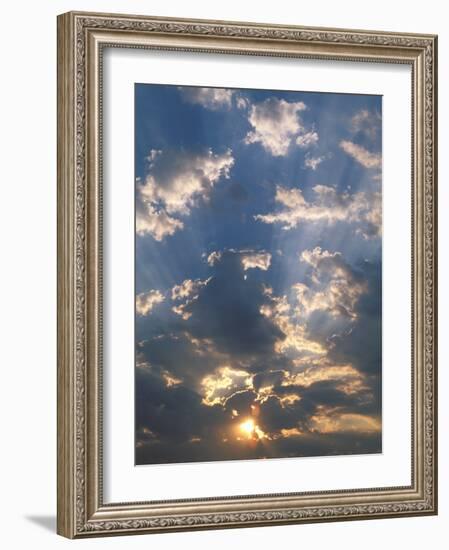 Sunrise, Okavango Delta, Botswana-Pete Oxford-Framed Photographic Print