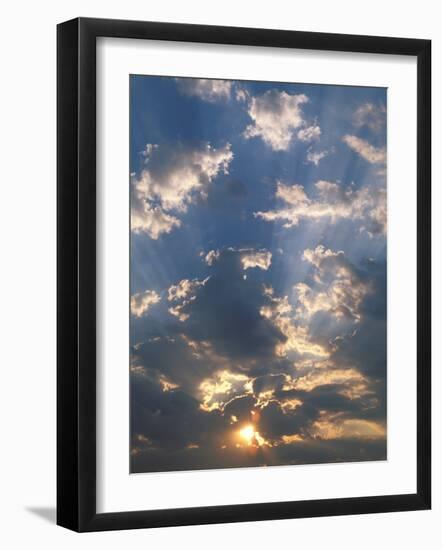 Sunrise, Okavango Delta, Botswana-Pete Oxford-Framed Photographic Print