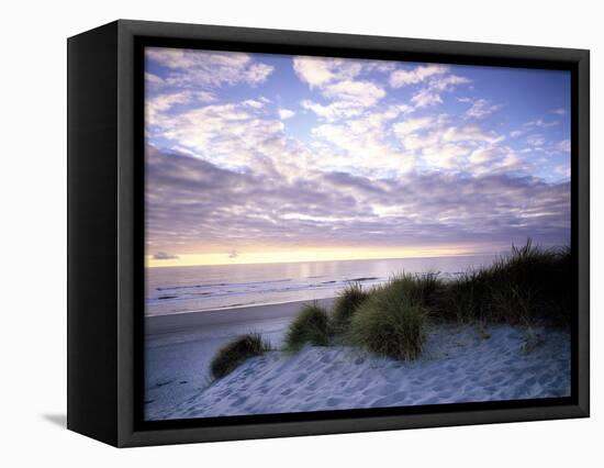 Sunrise on a Florida Beach-Carol Highsmith-Framed Stretched Canvas