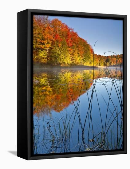 Sunrise on a Lake in Northern Maine.-Ian Shive-Framed Premier Image Canvas