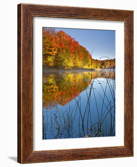 Sunrise on a Lake in Northern Maine.-Ian Shive-Framed Photographic Print