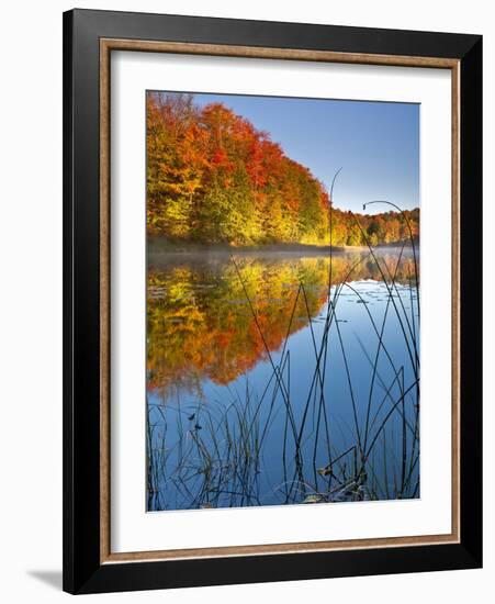 Sunrise on a Lake in Northern Maine.-Ian Shive-Framed Photographic Print