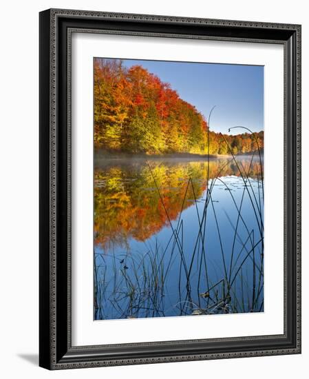 Sunrise on a Lake in Northern Maine.-Ian Shive-Framed Photographic Print