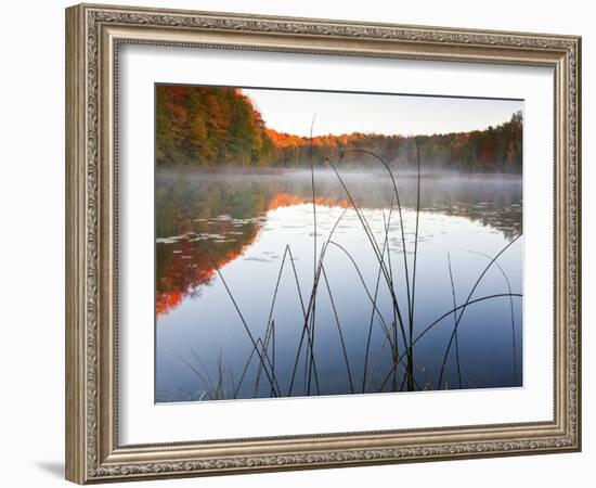 Sunrise on a Lake in Northern Maine.-Ian Shive-Framed Photographic Print