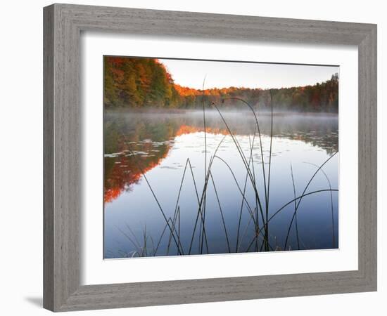 Sunrise on a Lake in Northern Maine.-Ian Shive-Framed Photographic Print