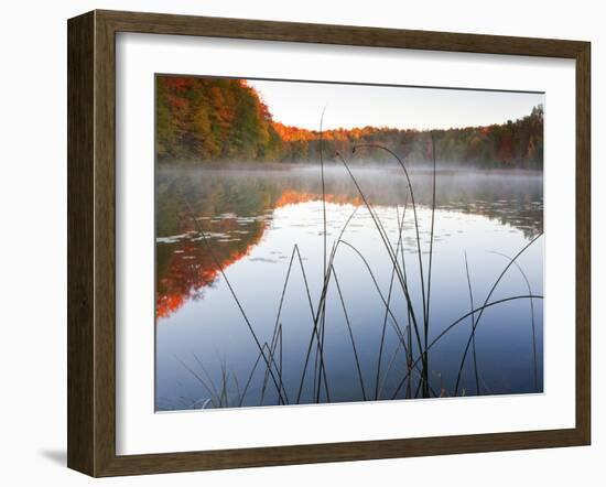 Sunrise on a Lake in Northern Maine.-Ian Shive-Framed Photographic Print