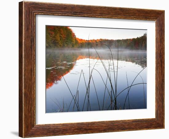 Sunrise on a Lake in Northern Maine.-Ian Shive-Framed Photographic Print