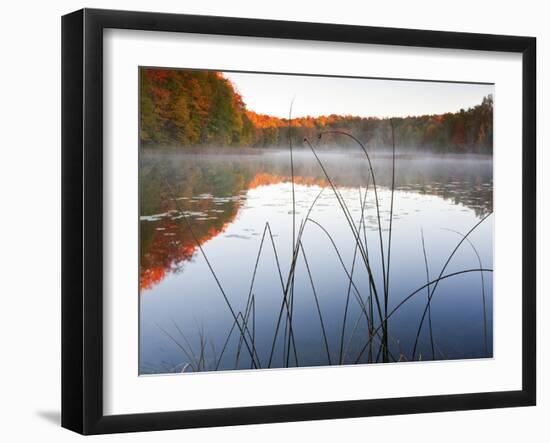 Sunrise on a Lake in Northern Maine.-Ian Shive-Framed Photographic Print