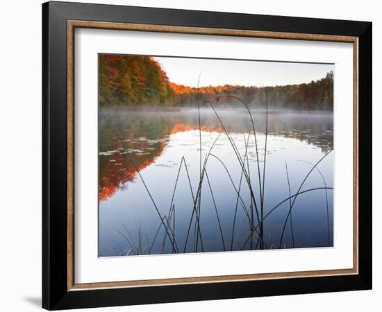 Sunrise on a Lake in Northern Maine.-Ian Shive-Framed Photographic Print