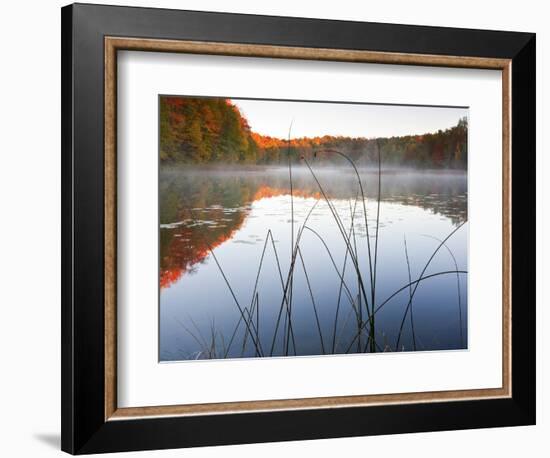 Sunrise on a Lake in Northern Maine.-Ian Shive-Framed Photographic Print